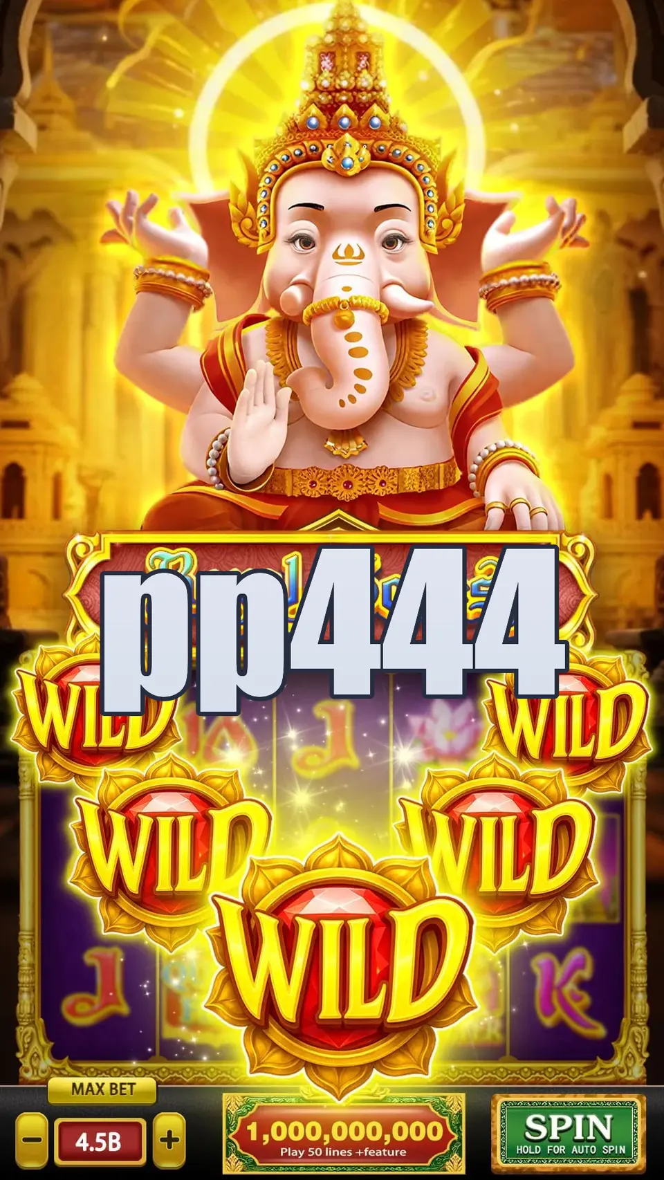 pp444 APK